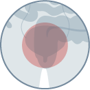 testicular mesothelioma icon