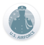 icon representing Air Force branch of US Armed Forces